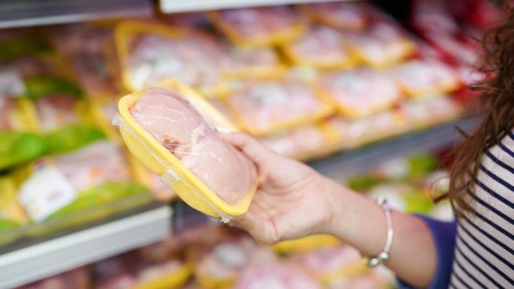 Ilustrasi Belanja Ayam Broiler