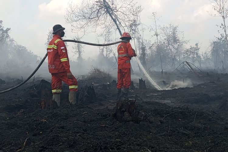 Masitoh, Manggala Agni, Pekanbaru, karhutla, Riau, lahan gambut, kebakaran lahan gambut, Karhutla, kebakaran gambut, karhutla 2025, pemadam kebakaran perempuan, Suka Duka Masitoh, Ibu Lima Anak yang 19 Tahun Hadapi Karhutla di Riau