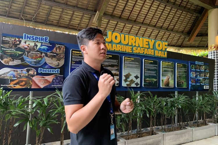 harga tiket taman safari bali, perbedaan  Marine Safari Bali dan Taman Safari Bali, atraksi satwa Taman Safari Bali, atraksi satwa Marine Safari Bali, Awas Keliru, Ini 3 Perbedaan Taman Safari Bali dan Marine Safari Bali