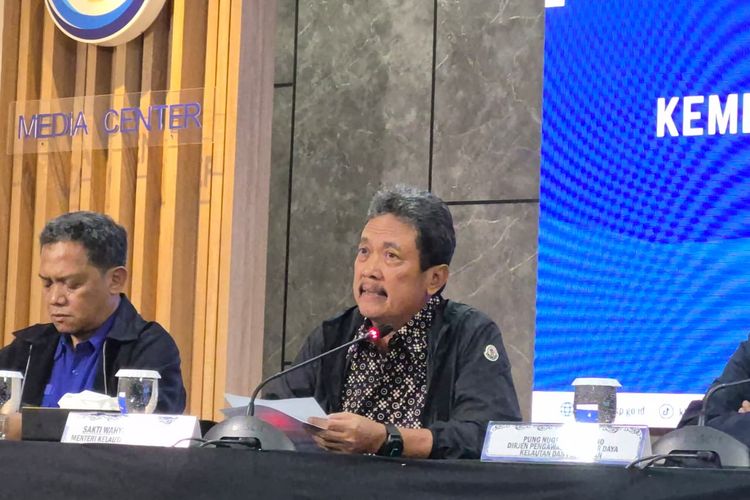 Maros, Sulawesi Selatan, Dugaan Penyebab Jatuhnya Pesawat ATR 42-500 di Sulsel, Harapan Keluarga, dan Penjelasan KNKT, Harapan keluarga, Sempat tidak aktif terbang, Dugaan awal penyebab kecelakaan, Disewa untuk pengawasan
