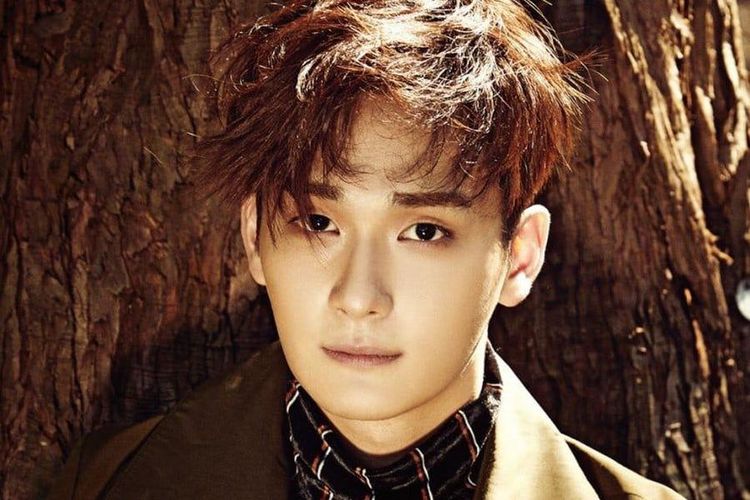 Jo Yoon Woo, Prodil dan Biodata Jo Yoon Woo, Aktor Korea yang Umumkan Pernikahan dan Pensiun dari Dunia Akting, Pernyataan Resmi Jo Yoon Woo di Instagram, Jo Yoon Woo Jelaskan Tentang Pasangan Hidupnya, Biodata Singkat Jo Yoon Woo, Rekam Jejak Karier Jo Yoon Woo