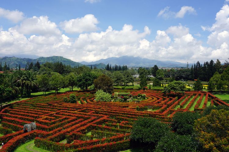 Bogor, libur Lebaran, 7 Wisata di Bogor untuk Libur Lebaran, Alam hingga Taman Hiburan, 1. Kebun Raya Bogor, 2. Kebun Raya Cibodas, 3. Taman Bunga Nusantara, 4. Taman Safari Indonesia Bogor, 5. Little Venice Kota Bunga, 6. JungleLand Adventure Theme Park, 7. Devoyage Bogor