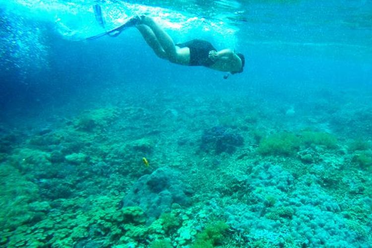 Raja Ampat, 7 Spot snorkeling terbaik di Raja Ampat, 7 spot snorkeling terbaik di Raja Ampat, raja ampat, Wisata Raja Ampat, 7 Spot Snorkeling Terbaik di Raja Ampat, 7 Spot Snorkeling Terbaik di Raja Ampat dan Mengapa Kita Harus Menjaganya, 1. Pulau Arborek, 2. Desa Yenbuba, 3. Desa Sawandarek, 4. Pulau Friwen, 5. Pulau Kri, 6. Manta Sandy, 7. Teluk Kabui 