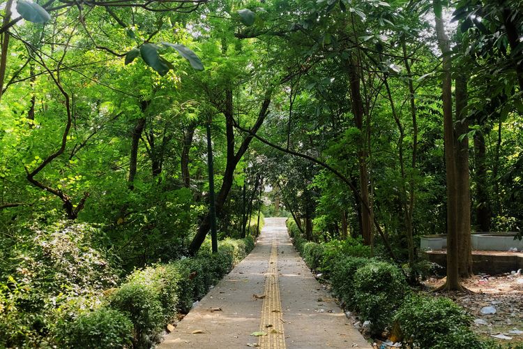 Hutan Kota Srengseng, Hutan Kota di Jakarta Barat, hutan kota srengseng tutup jam berapa, hutan kota srengseng buka jam berapa, hutan kota srengseng bayar berapa, Panduan Lengkap ke Hutan Kota Srengseng, Healing Murah Meriah di Jakarta Barat, Lokasi Hutan Kota Srengseng, Jam buka Hutan Kota Srengseng, Harga tiket masuk Hutan Kota Srengseng, Bisa ngapain aja di Hutan Kota Srengseng?, Tips berkunjung ke Hutan Kota Srengseng