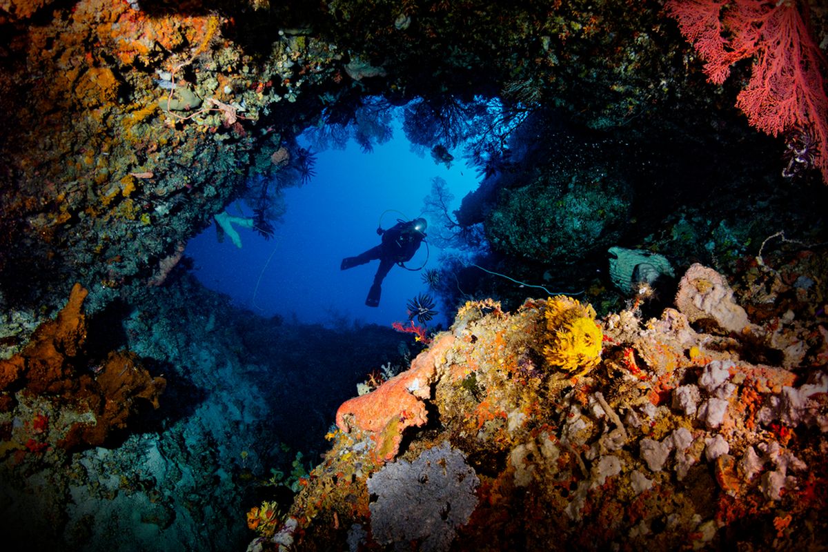 Palmarola, Tabarca, Surga Tersembunyi Dunia, 3 Pulau Cantik Ini Masih Sepi Turis