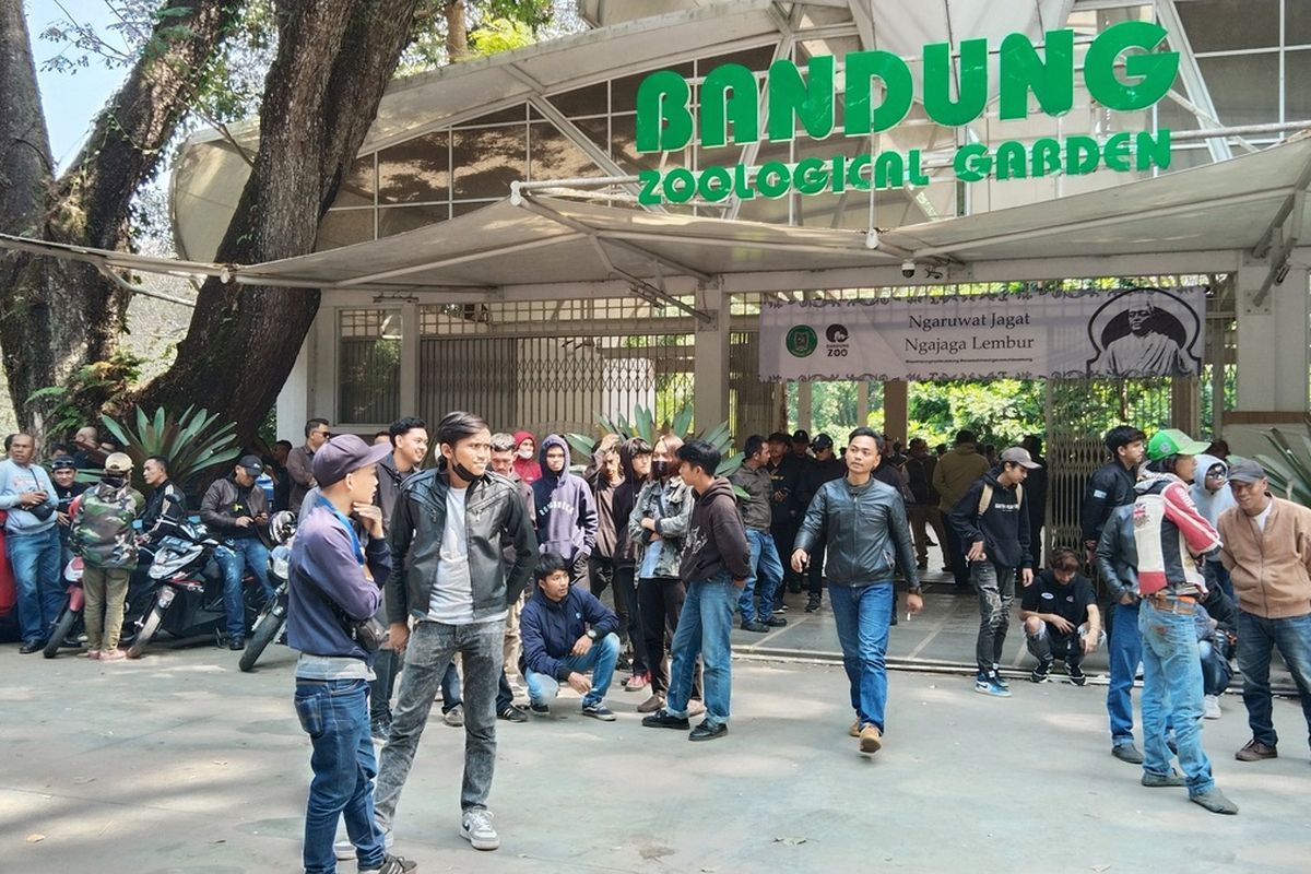 Kebun Binatang Bandung, kebun binatang bandung tiket, kebun binatang bandung buka jam berapa, jam buka Kebun Binatang Bandung lebaran, harga tiket masuk kebun binatang bandung saat lebaran, acara satwa di Kebun Binatang Bandung, kegiatan di Kebun Binatang Bandung, Harga Tiket Masuk Kebun Binatang Bandung Hari Ini