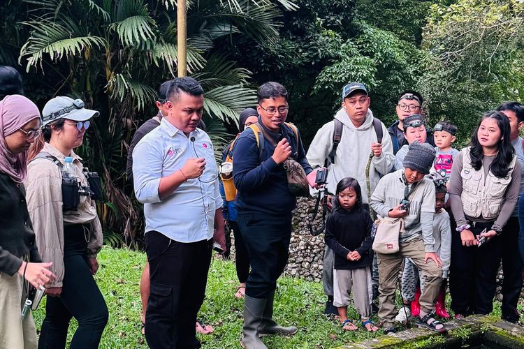 Indahnya Kunang-kunang Berkelip di Kebun Raya Bali, Bukti Alam Masih Bernapas