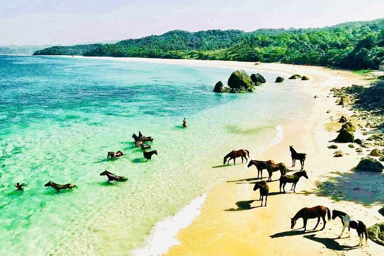 Sumba, Panduan Wisata 3 Hari 2 Malam di Sumba, Contek Itinerary Ini, Hari 1: Menuju Gerbang Barat, Mengejar "God’s Left" di Nihiwatu, Berselancar, Aktivitas selain Selancar, Hari 2: Menyeberang ke timur, menembus keheningan savanna Tanarara, Hari 3: Berburu "Golden Sunrise" dan persiapan pulang, Estimasi biaya perjalanan (per orang)