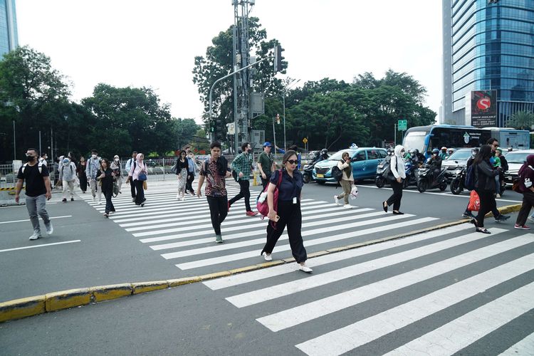 penyeberangan, pelican crossing, pelican cross, zebra cros, Apa Bedanya Pelican Crossing dan Zebra Cross?