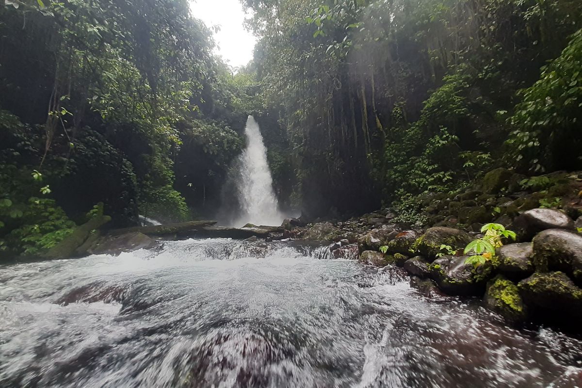 air terjun, Banyuwangi, 5 Air Terjun di Banyuwangi Alami Perlu Trekking Untuk Menjangkaunya