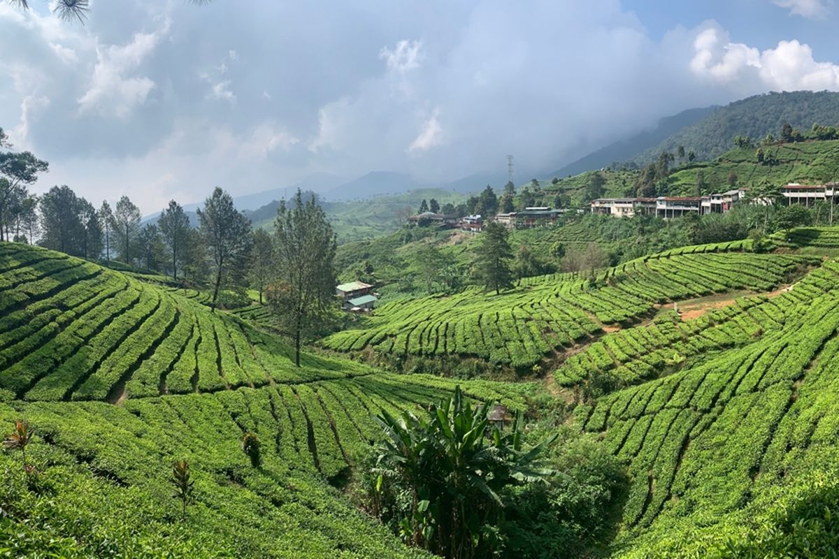 turis Arab di Indonesia, Tak Cuma Puncak, Turis Arab Suka ke 5 Destinasi Wisata Indonesia Ini