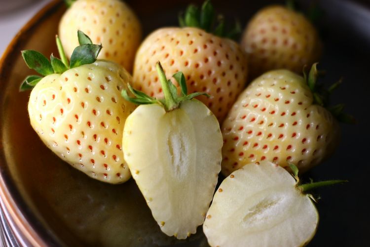 Stroberi putih, stroberi merah, Beda Stroberi Merah dan Stroberi Putih, Tak Cuma dari Warna