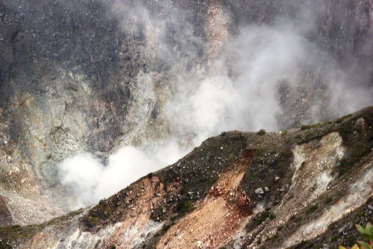 Penutupan pendakian, Gunung Gede Pangrango, Taman Nasional Gunung Gede Pangrango, gunung gede pangrango, pendakian gunung gede pangrango, penutupan pendakian, Update, Pendakian Gunung Gede Pangrango Ditutup hingga 21 April 2025