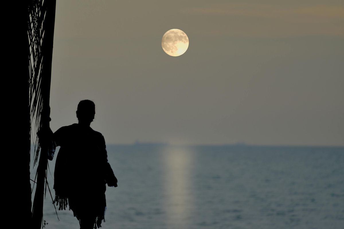 zodiak, Bulan Purnama, Ramalan Zodiak Februari 2026, Bulan Purnama Leo Bawa Perubahan Besar Cinta dan Karier, Bulan Purnama Leo membuka hal yang selama ini terpendam, Tekanan astrologi memperkuat dampak emosional, Kaitan dengan peristiwa enam bulan lalu, Cinta dan hubungan jadi sorotan utama, Tarikan antara kepentingan pribadi dan lingkungan, Zodiak yang paling merasakan perubahan, Venus membawa energi penyeimbang