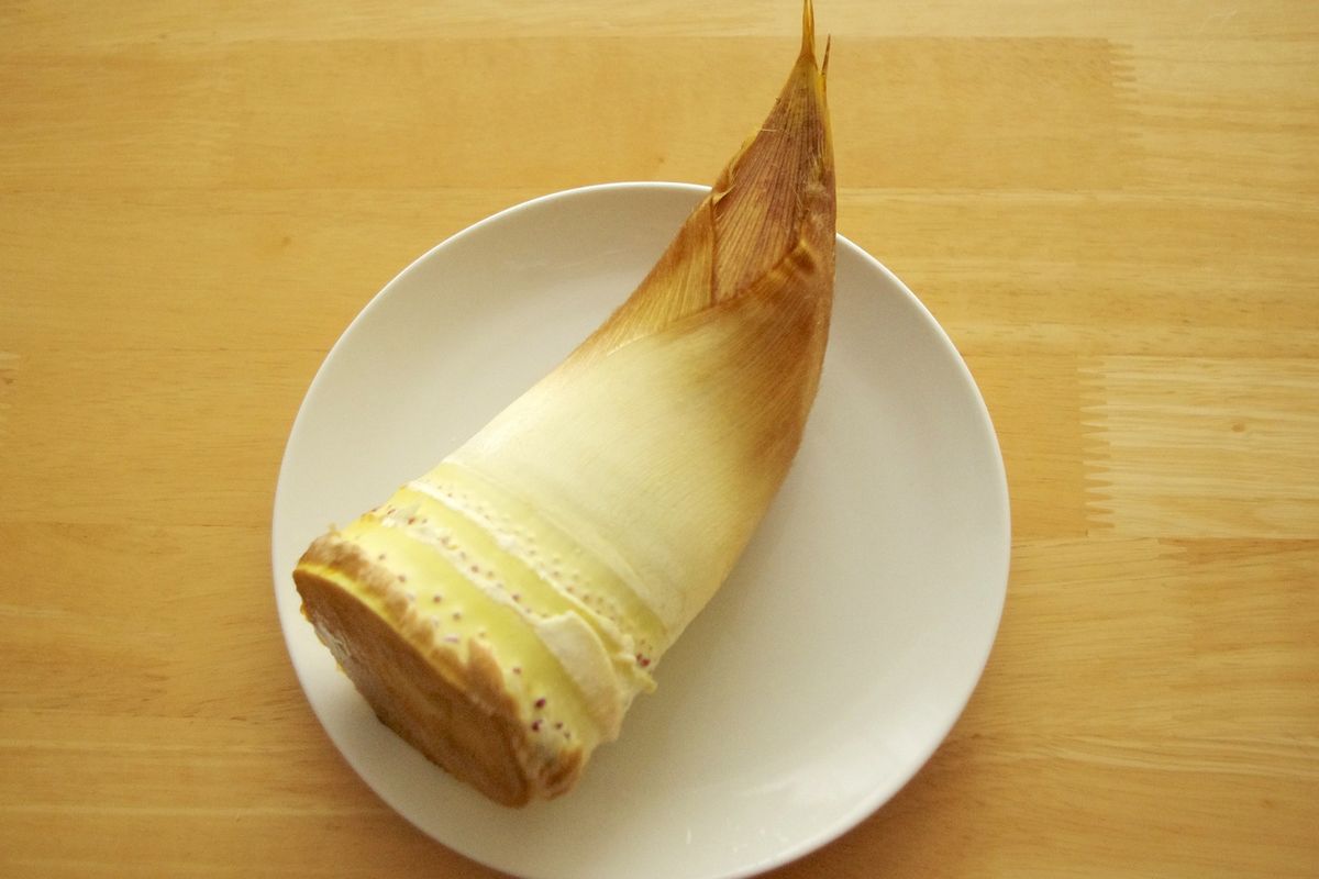rebung bambu, resep tumis rebung, cara masak rebung, cara menghilangkan bau rebung, tumis rebung santan, Cara Olah Rebung Tidak Bau dan Teksturnya Renyah, Cukup Tumis Saja