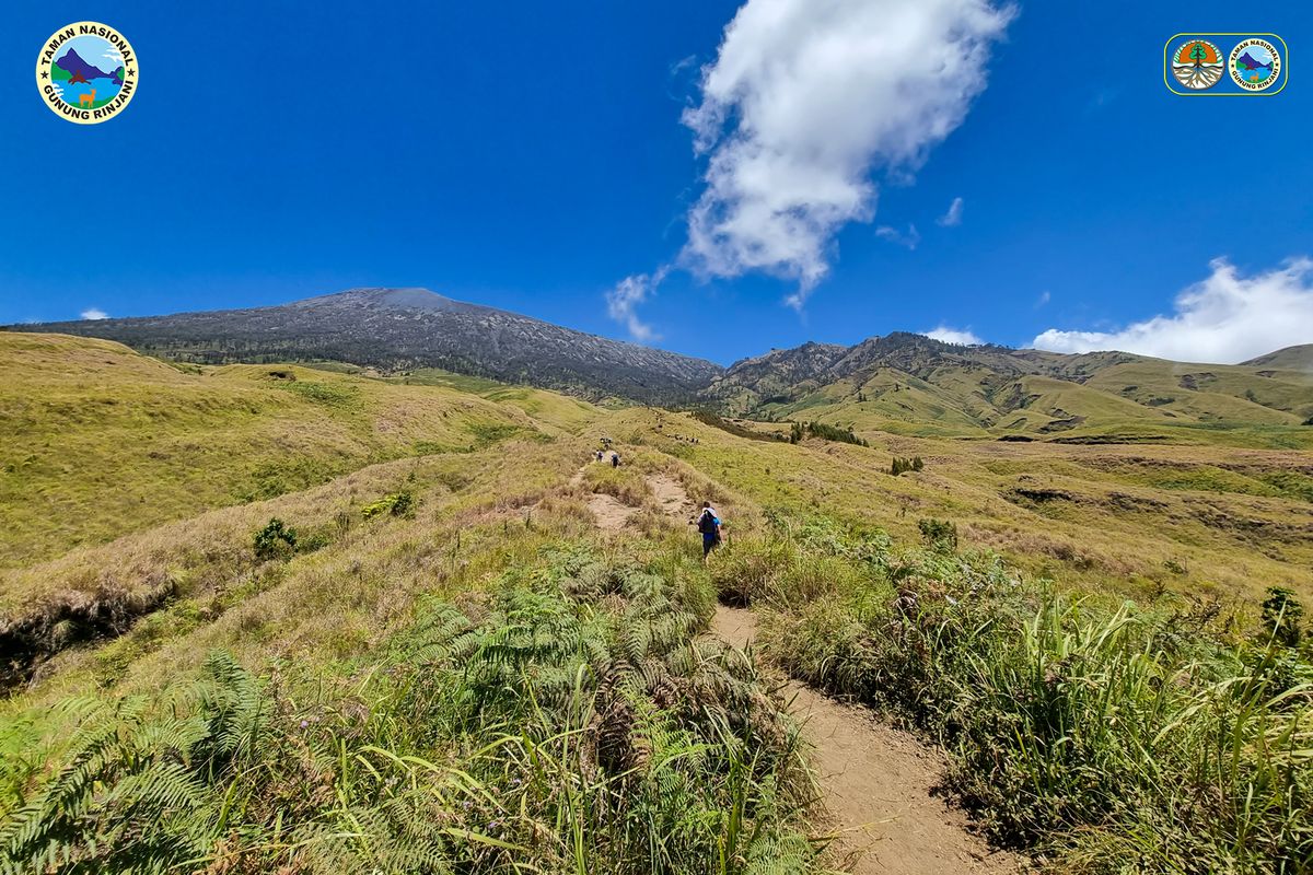 tips mendaki gunung rinjani, tips mendaki gunung rinjani bagi pemula, pendaki luar ngeri di gunung rinjani, gaya berpakaian pendaki luar ngeri di gunung rinjani, konsep mendaki gunung rinjani, Beda Gaya Turis Asing dan WNI Saat Mendaki Gunung Rinjani