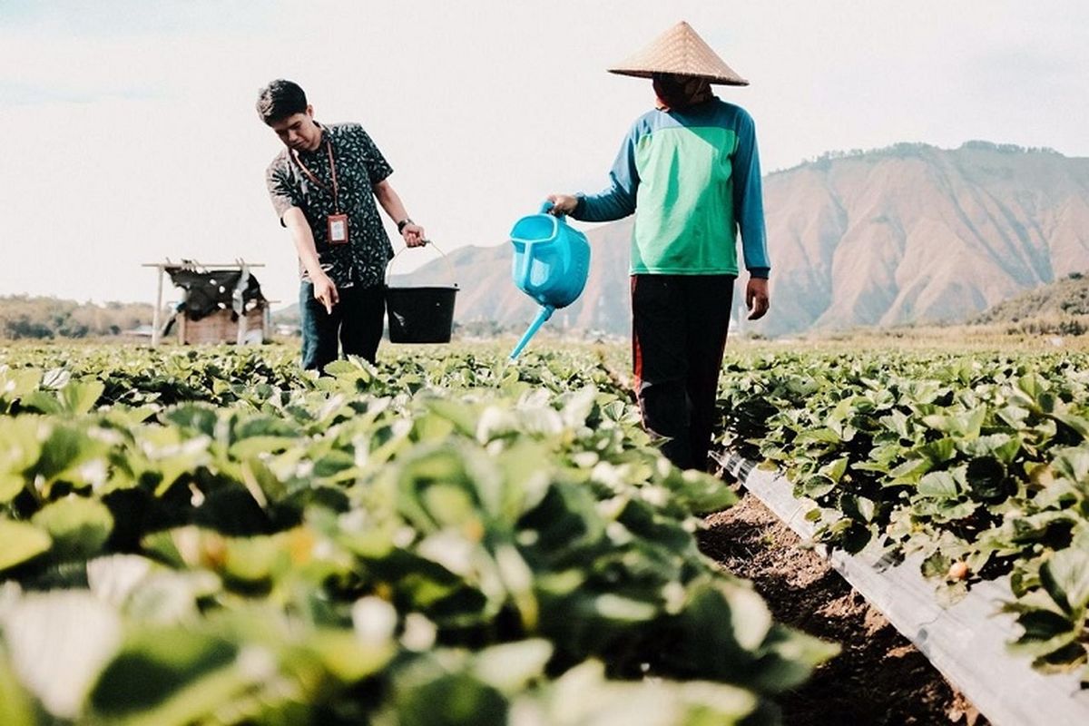 pariwisata berkelanjutan, sustainable, Pariwisata Berkelanjutan, banjir sumatera, travel news, sustainable tourism adalah, Banjir Sumatera Jadi Alarm Pentingnya Wisata Berkelanjutan