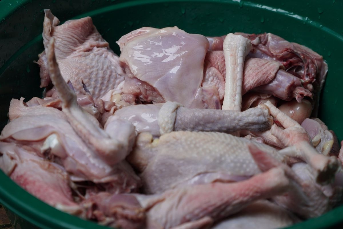ayam kampung, Ayam kampung alot, Cara bikin ayam kampung empuk, Ayam Kampung Alot, Ini Cara Membuatnya Empuk