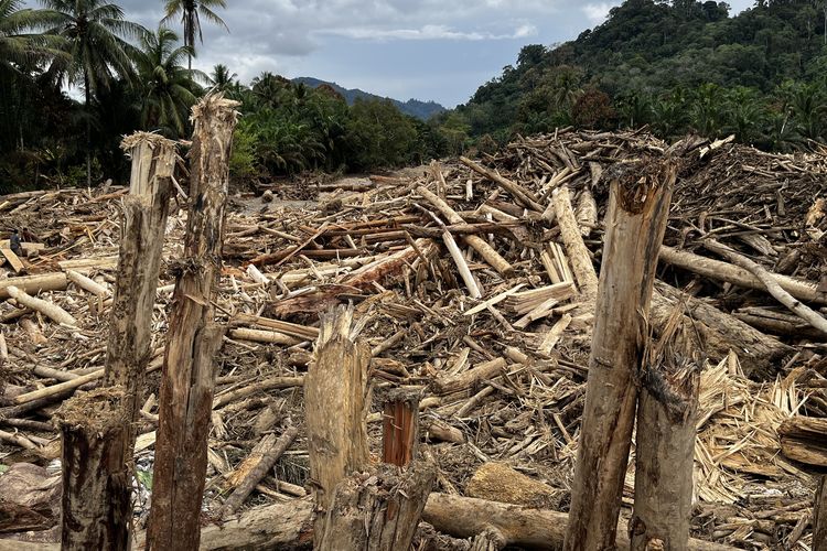 Banjir Sumut, Banjir Tapanuli Selatan, banjir tapanuli selatan, dampak banjir sumatera, Desa Garoga, desa garoga tapsel, kayu gelondongan di banjir sumatera, kayu gelondongan sumatera, kayu gelondongan menumpuk, BERITA FOTO: Jejak Kerusakan Ekologis di Banjir Tapsel, Gelondongan Kayu Hantam Permukiman Desa Garoga