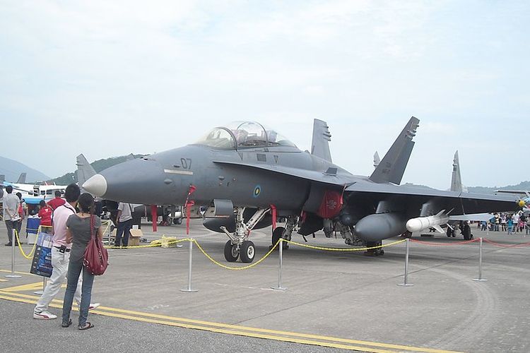 Malaysia, F-18, TUDM, Jet Tempur F/A-18D Hornet Malaysia Terbakar dan Jatuh di Kuantan, Dua Pilot Selamat