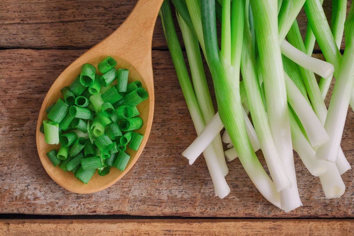 daun bawang, cara menyimpan daun bawang, Agar Daun Bawang Awet hingga Berminggu-minggu, Ini Cara Simpannya