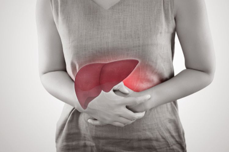 Hepatitis, World Hepatitis Day, Hari Hepatitis Sedunia, hepatitis, Hepatitis adalah, hepatitis adalah, world hepatitis day, hari hepatitis sedunia 2025, hari hepatitis sedunia 28 Juli, tema hari hepatitis sedunia 2025, Hari Hepatitis Sedunia 28 Juli 2025, Ini Fakta dan Cara Memperingatinya