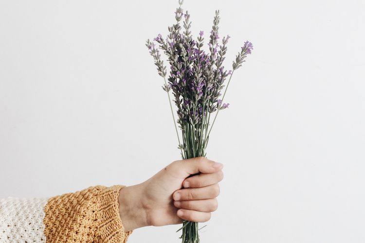 sandalwood, stres, aroma parfum, jasmine, vanila, aroma parfum untuk stres, parfum yang menenangkan, parfum aroma menenangkan, parfum yang menenangkan pikiran, 7 Aroma Parfum yang Menenangkan Pikiran dan Meredakan Stres, 1. Lavender, 2. Jasmine, 3. Vanilla, 4. Mawar, 5. Mogra oil, 6. Sandalwood, 7. Cedarwood