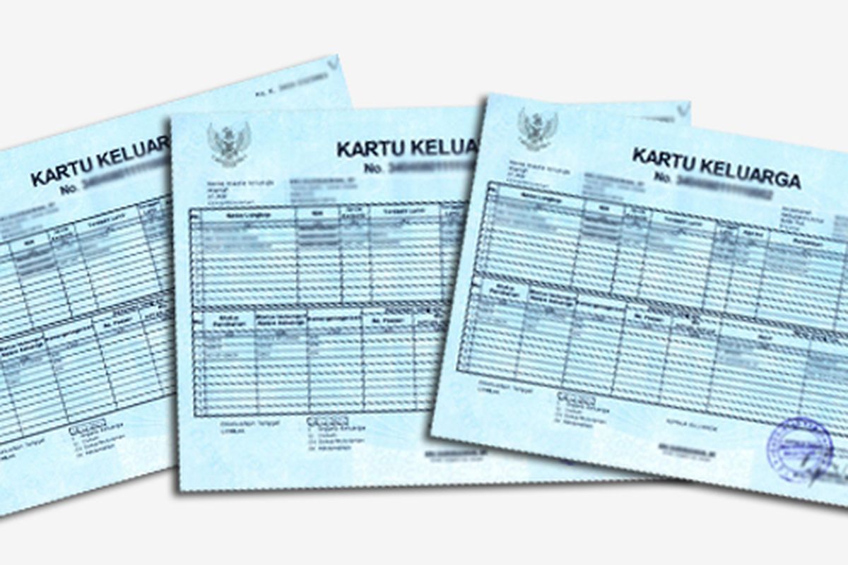 Dukcapil, aplikasi IKD, Mudah dan Praktis, Ini Cara Cek KK Online Pakai HP