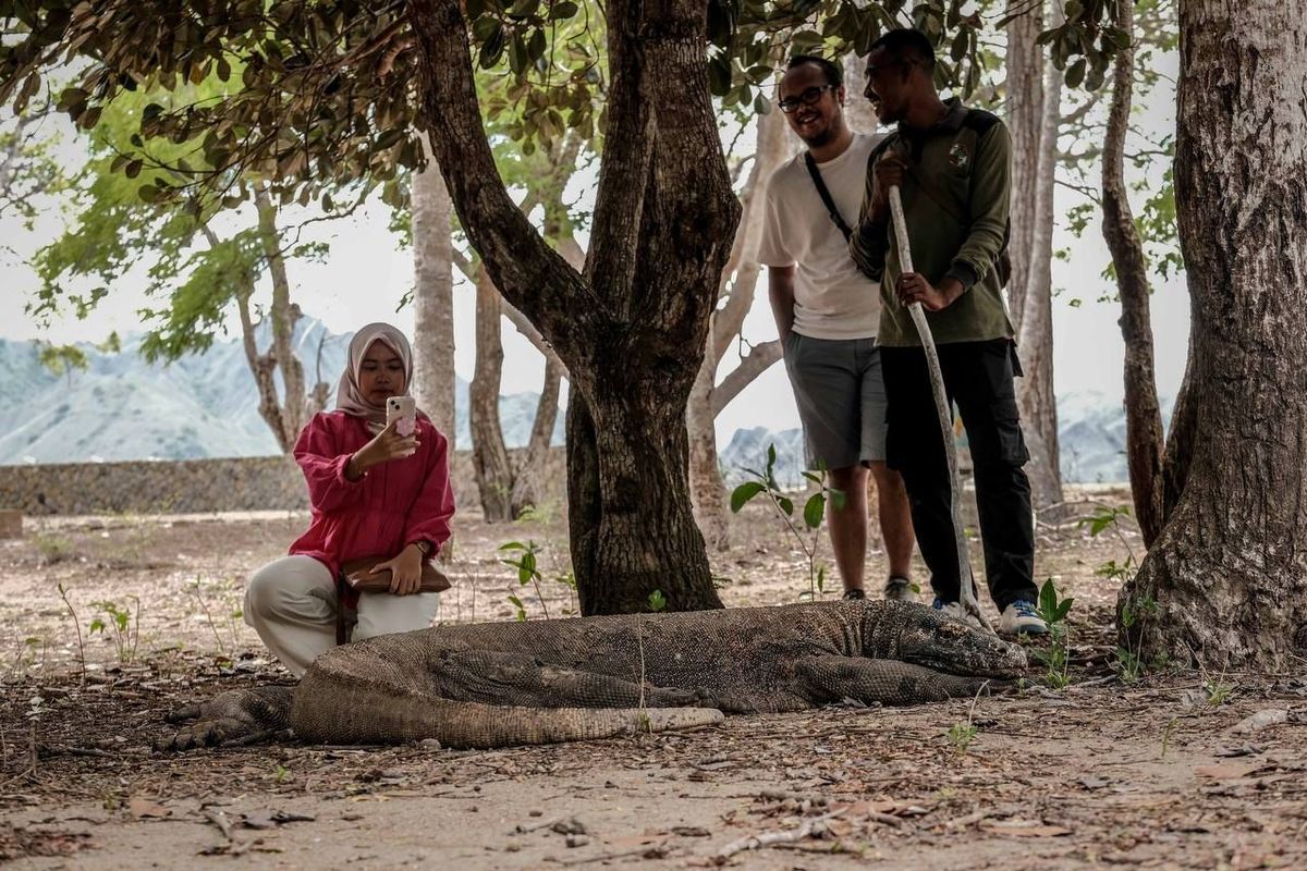 Taman Nasional Komodo, Kemenhut, kuota turis ke Taman Nasional Komodo Dibatasi, Kemenhut Akan Batasi Kunjungan Turis ke TN Komodo, 1.000 Orang Per Hari