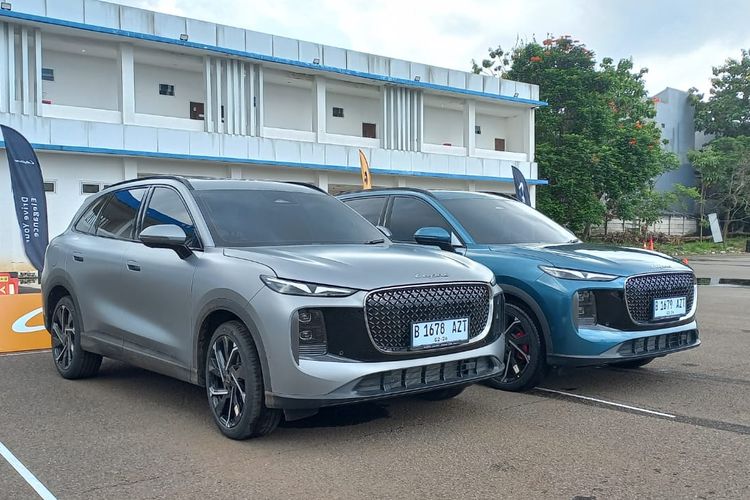 Lepas, Lepas Indonesia, Lepas L8, Automated Parking Assist, Mengenal Fitur RPA Pada Lepas L8, Bisa Gerakan Mobil Pakai Remote