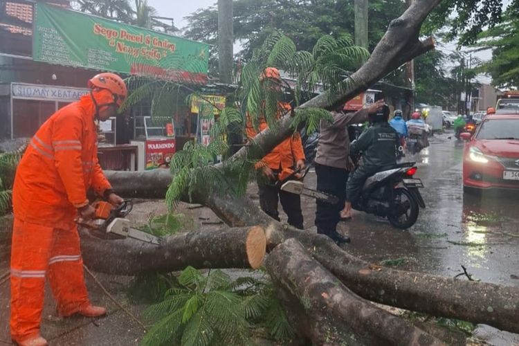 pohon tumbang, Cuaca ekstrem, hujan deras, angin kencang, Asuransi Astra, polis asuransi, perluasan jaminan, Asuransi Kendaraan, cuaca ekstrem, Hujan deras, asuransi kendaraan, Mobil Tertiban Pohon Tumbang, Bisa Klaim Asuransi?