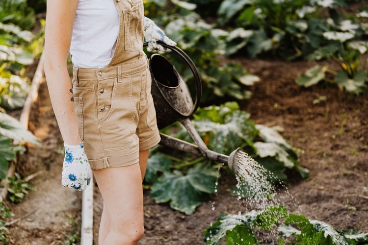 berkebun, manfaat berkebun, David Beckham, manfaat berkebun bagi kesehatan, david beckham berkebun, kebun david beckham, manfaat berkebun untuk kesehatan mental, manfaat berkebun di halaman rumah, manfaat berkebun di pekarangan rumah, berkebun untuk kesehatan mental, Hobi Berkebun seperti David Beckham, Ini 6 Manfaatnya untuk Kesehatan Mental, 1. Melatih penerimaan, 2. Melampaui perfeksionisme, 3. Mengembangkan pola pikir berkembang, 4. Forest bathing, 5. Hadir secara utuh, 6. Mengurangi stres