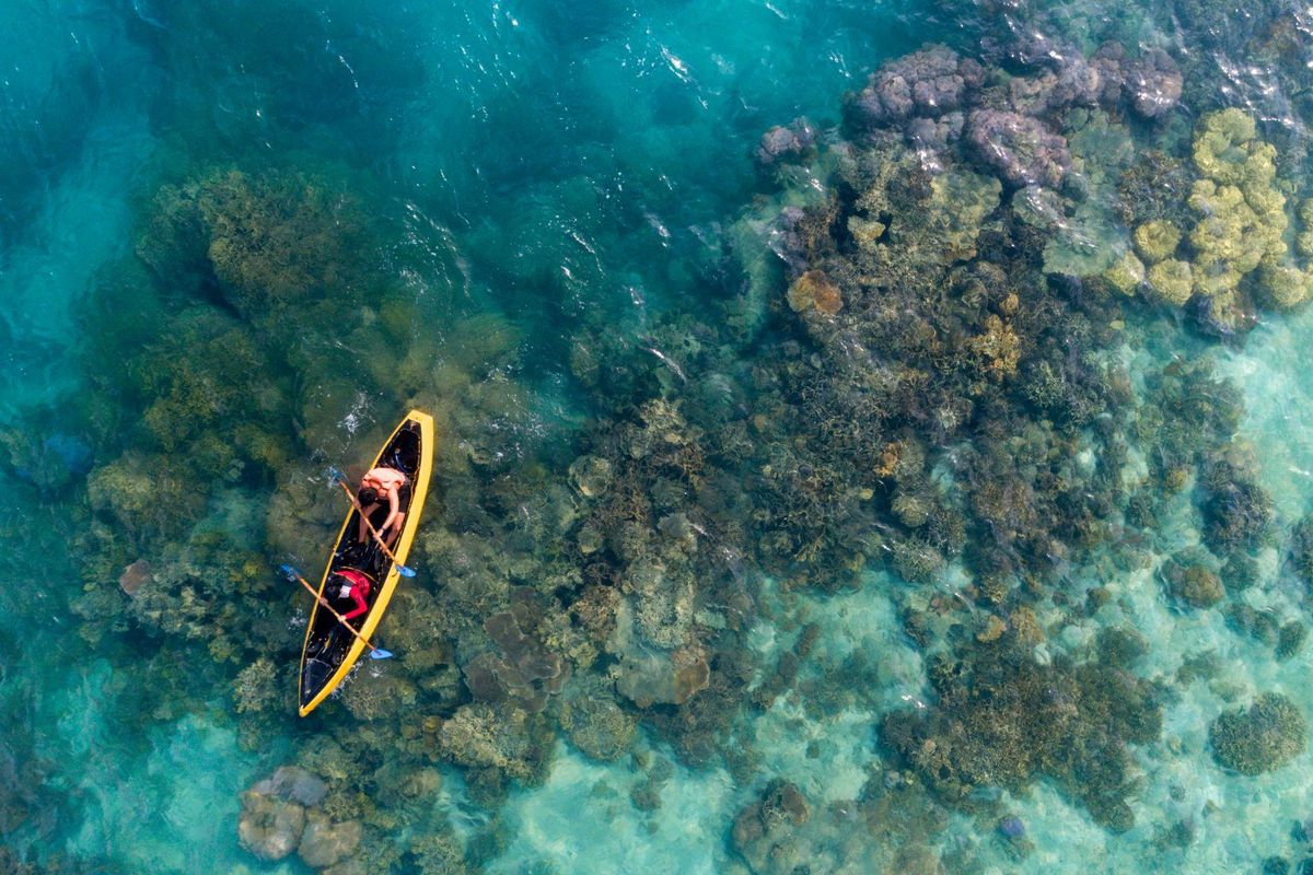 wisata alam, Jakarta, 6 Wisata Alam di Jakarta untuk Healing Akhir Pekan, Mana Favorit Kamu?, 1. Kepulauan Seribu, 3. Hutan Mangrove PIK, 4. Taman Tabebuya, 5. Setu Babakan, 6. Pantai Pasir Putih PIK 2