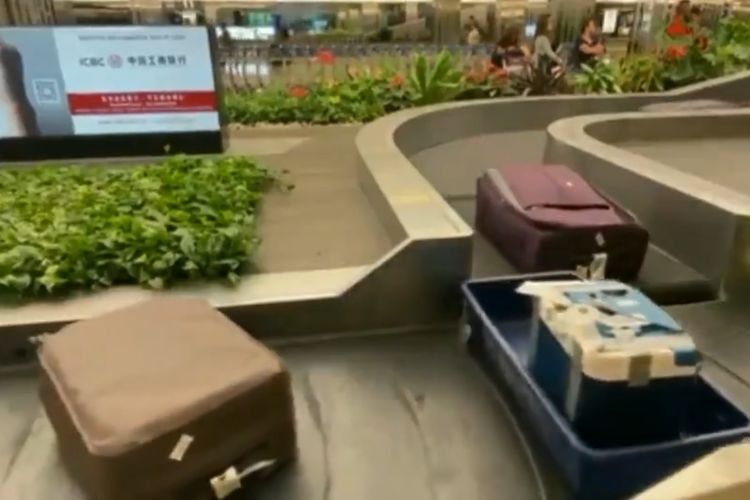 bagasi pesawat, tips naik pesawat, Mengambil bagasi pesawat, Jangan Lakukan 9 Hal Tidak Terpuji Ini Saat Mengambil Bagasi Pesawat, 1. Berdiri terlalu dekat dengan karusel, 2. Mengambil koper tanpa memastikan itu milik Anda, 3. Mengayunkan koper dengan sembarangan, 4. Mendorong orang lain, 5. Membiarkan anak Berkeliaran, 6. Tidak segera menyingkir setelah mengambil koper, 7. Berbicara terlalu keras, 8. Tidak membantu orang lain, 9. Marah karena bagasi tertunda