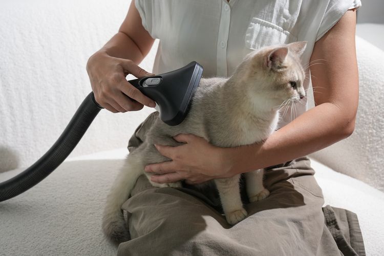 penyedot debu, Acer, vacuum cleaner, Vacuum Cleaner Acerpure Clean V2 Rilis di Indonesia, Daya Hisap 20.000 Pa dan Bisa Grooming Hewan