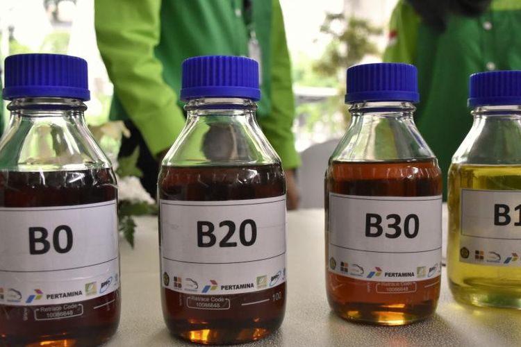 Bahlil Lahadalia, biodiesel, Bahlil Targetkan Bebas Impor Solar 2026 Melalui Program B50