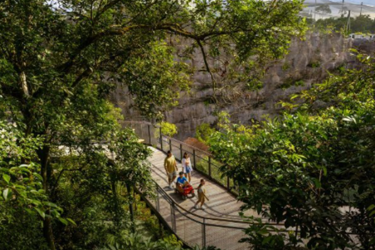 Wisata Baru Singapura, Zona Afrika di Mandai Resmi Dibuka