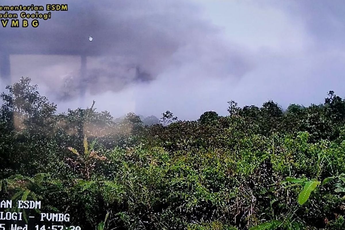 Lumajang, Gunung Semeru, gunung semeru, erupsi Semeru, erupsi Gunung Semeru, Erupsi Semeru hari ini, Gunung Semeru Kembali Erupsi, BPBD Bunyikan Sirine Bahaya di Lereng Lumajang, Erupsi Pagi Hari, Kolom Abu Menjulang 600 Meter, Cuaca Berkabut, Awan Panas Muncul Sore Hari, Awan Panas Meluncur 5 Kilometer, Sirine Peringatan Dibunyikan