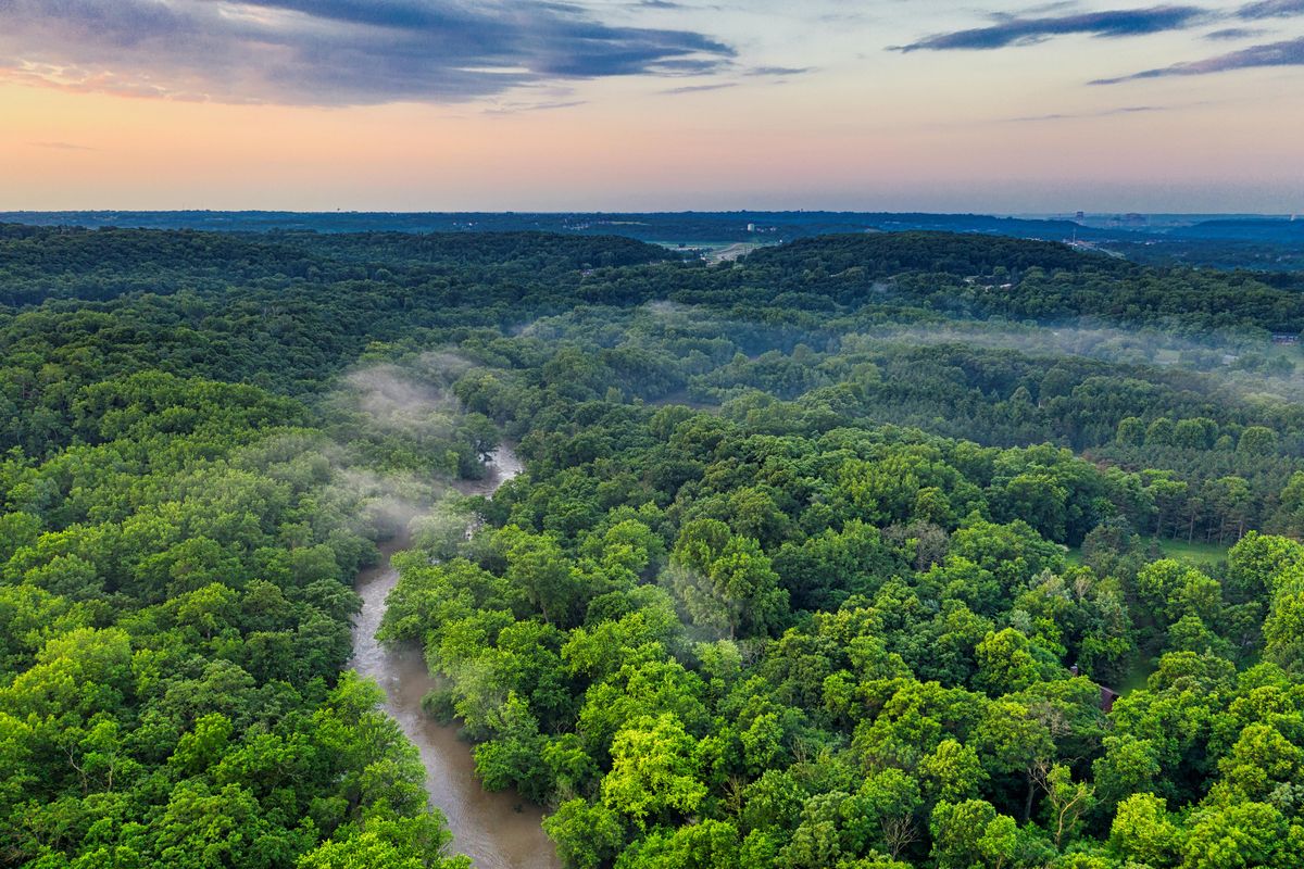 Hutan Amazon, Google Maps, Gunung Rinjani, Juliana Marins, rating bintang 1 di Google Maps, Saling Balas, Kini Hutan Amazon Dihujani Rating Bintang 1 di Google Maps oleh Netizen Indonesia