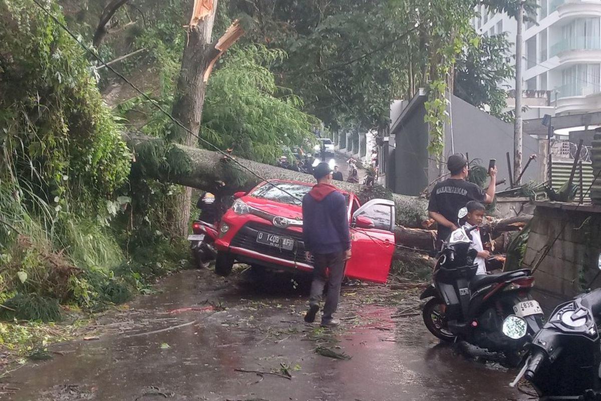 pohon tumbang, hujan deras, angin kencang, Pohon Tumbang Renggut Nyawa di Bandung: Pelajaran Keselamatan Jalan