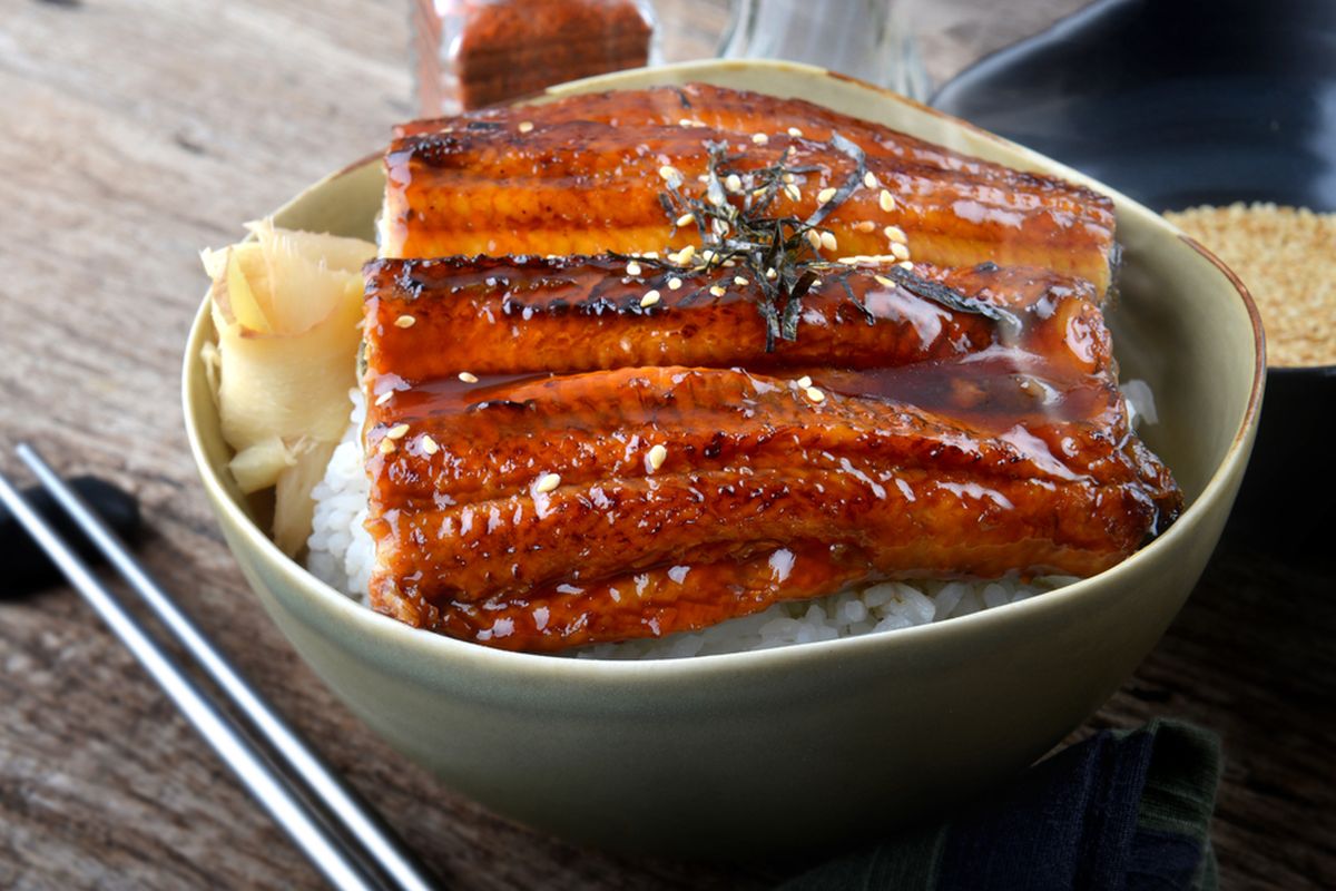 resep unagi don, ikan sidat, masterchef indonesia 12, Unagi Don, Ingin Masak Sidat Seperti di MasterChef Indonesia 12, Resep Unagi Bisa Dicoba di Rumah