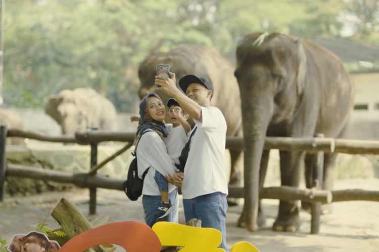 libur lebaran, Libur Lebaran, Gembira Loka Zoo Catat 11.000 Kunjungan