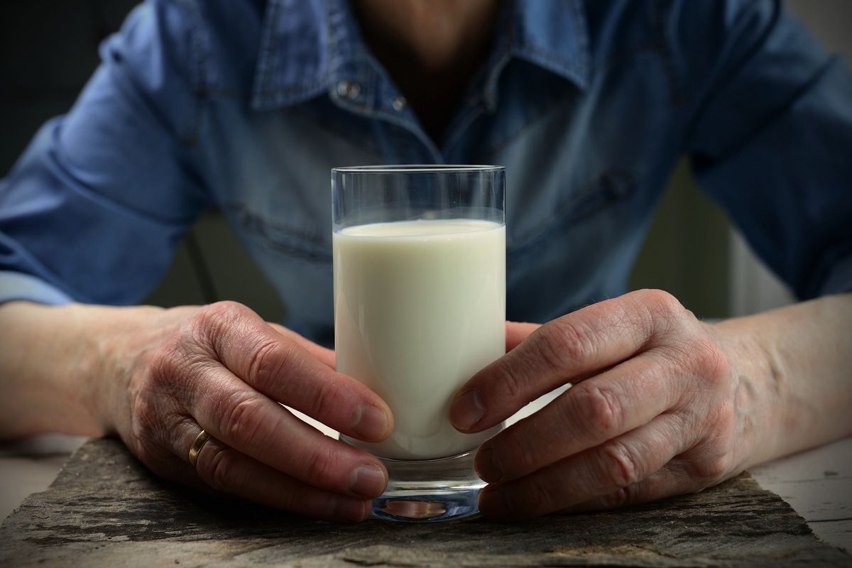 susu, Badan Gizi Nasional, Makan Bergizi Gratis, Pasokan Susu untuk MBG Masih Seret, Disebut jadi Masalah Nasional