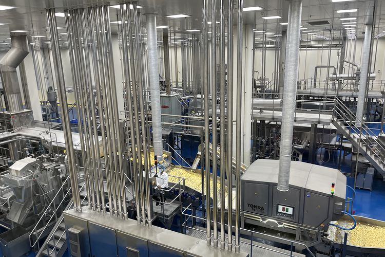 makanan ringan, PepsiCo, Pepsico, pepsico buka pabrik di indonesia, rasa nusantara, Pepsico Buka Pabrik Makanan Ringan Pertama di Indonesia, Produksi Khusus Rasa Nusantara