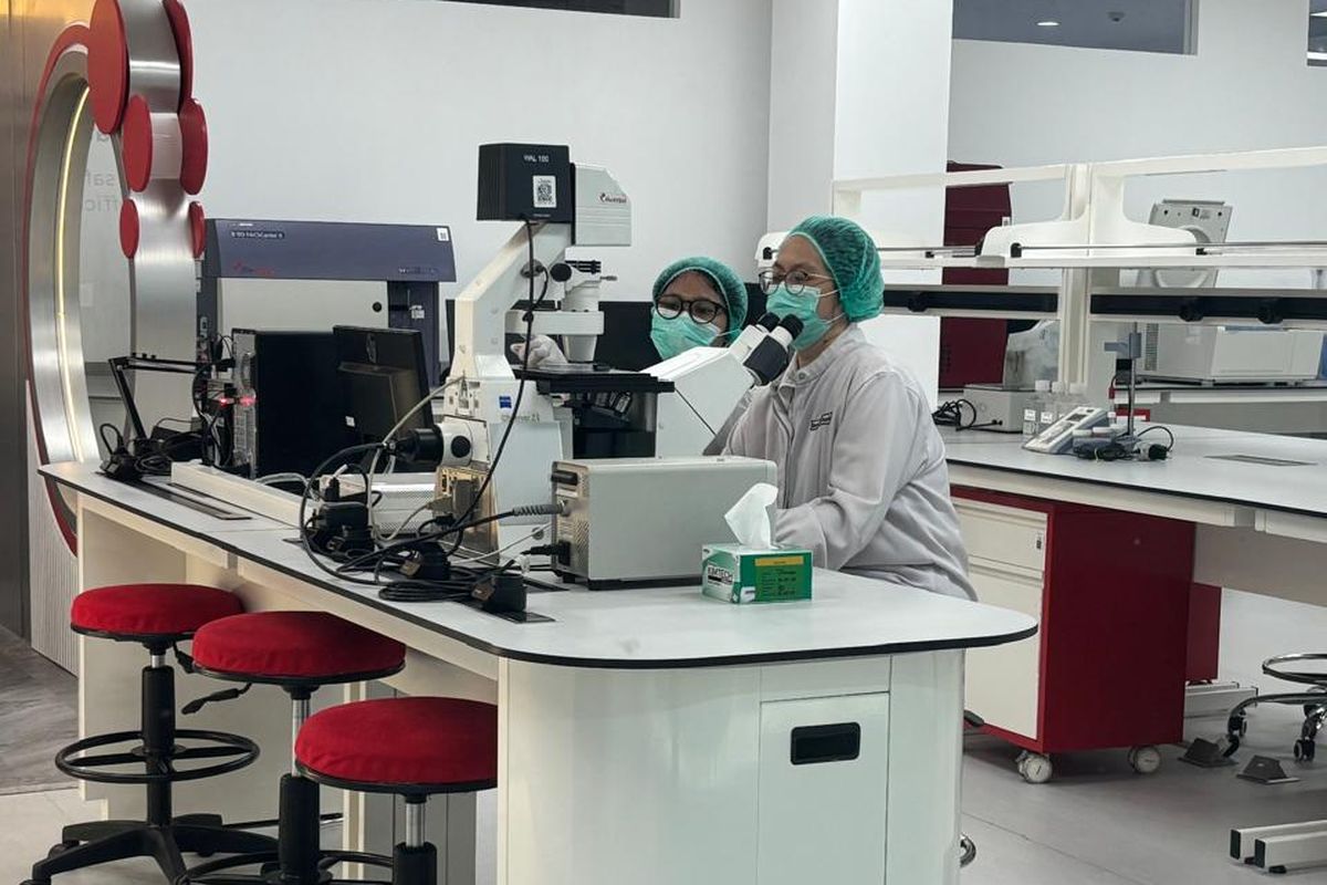 sel punca, terapi stem cell, Sel Punca, Terapi stem cell, stemcell, donor stem cell, Stem Cell, Terapi Penyakit yang Menjanjikan tapi Bukan Obat Ajaib