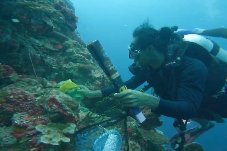 diving, snorkeling, 5 Rekomendasi Taman Laut Terbaik di Indonesia untuk Diving dan Snorkeling
