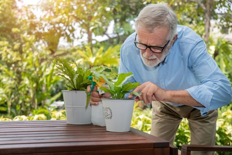 berkebun, manfaat berkebun, David Beckham, manfaat berkebun bagi kesehatan, david beckham berkebun, kebun david beckham, manfaat berkebun untuk kesehatan mental, manfaat berkebun di halaman rumah, manfaat berkebun di pekarangan rumah, berkebun untuk kesehatan mental, Hobi Berkebun seperti David Beckham, Ini 6 Manfaatnya untuk Kesehatan Mental, 1. Melatih penerimaan, 2. Melampaui perfeksionisme, 3. Mengembangkan pola pikir berkembang, 4. Forest bathing, 5. Hadir secara utuh, 6. Mengurangi stres
