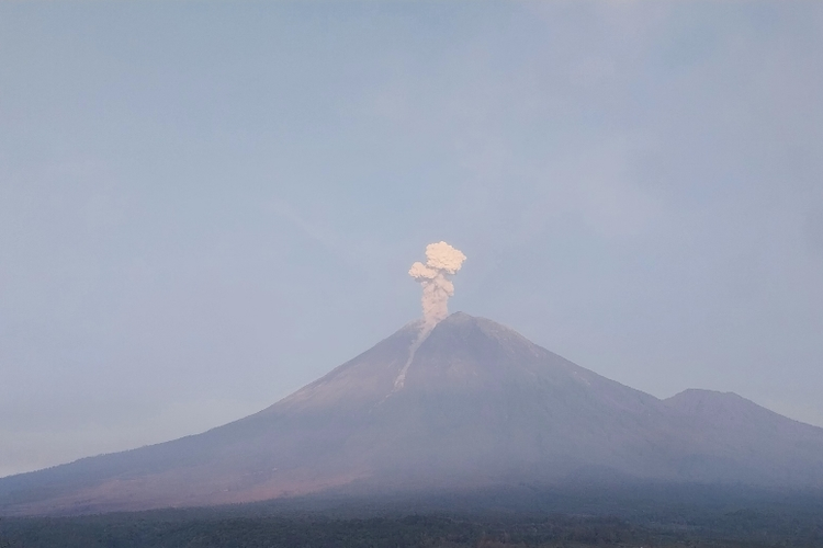 Gunung Semeru Erupsi 7 Kali, Ini Imbauan PVMBG untuk Masyarakat Sekitar