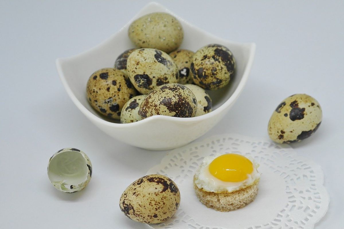 telur puyuh, Tambahkan 2 Bumbu Dapur Ini Saat Merebus Telur Puyuh, Ini Alasannya, 1. Tambahkan garam, 2. Tambahkan cuka, 3. Aduk perlahan saat merebus, 4. Masukkan ke air es setelah direbus, 5. Teknik mengupas telur puyuh