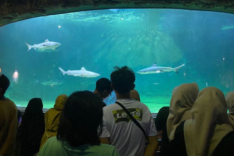 promo Ancol, promo Ancol 2026, Promo Sea World, Promo Ancol 2026, Harga Tiket Masuk Dufan Rp 170.000 per Orang, Paket bertiga di Dufan, Promo Sea World paket berlima, Promo Samudra Ancol paket berlima, Promo Atlantis paket berlima, Promo Jakarta Bird Land Ancol paket berlima